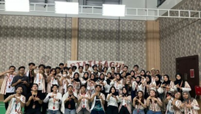 stlg1